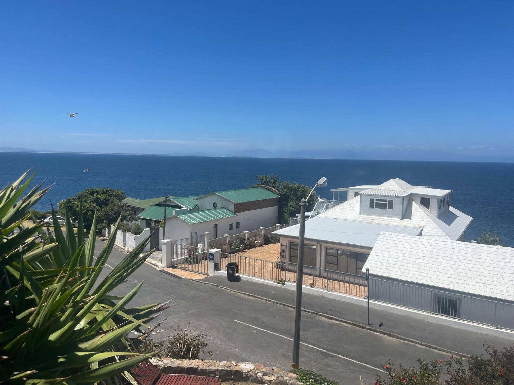 Simons Town Penquins Ferienhaus Kapstadt